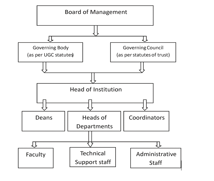 Organization Structure